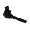 BENTLEY CONTINENTAL - GT S, GTC S [3W] Car Ignition Coil
