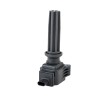 FORD MUSTANG GTDi - FM Car Ignition Coil