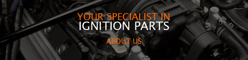 Ignition Coils & Parts